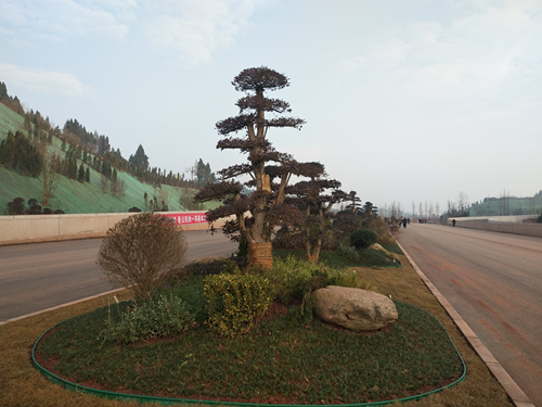 图片3_副本.png 图片3_副本.png