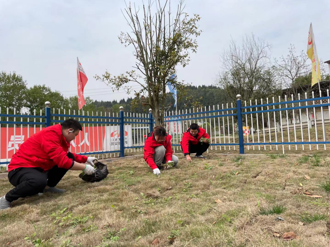 图片6.png 图片6.png