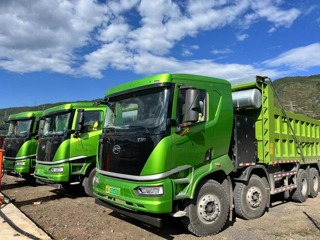 新能源汽车。(王珂供图) (2).png 新能源汽车。(王珂供图) (2).png