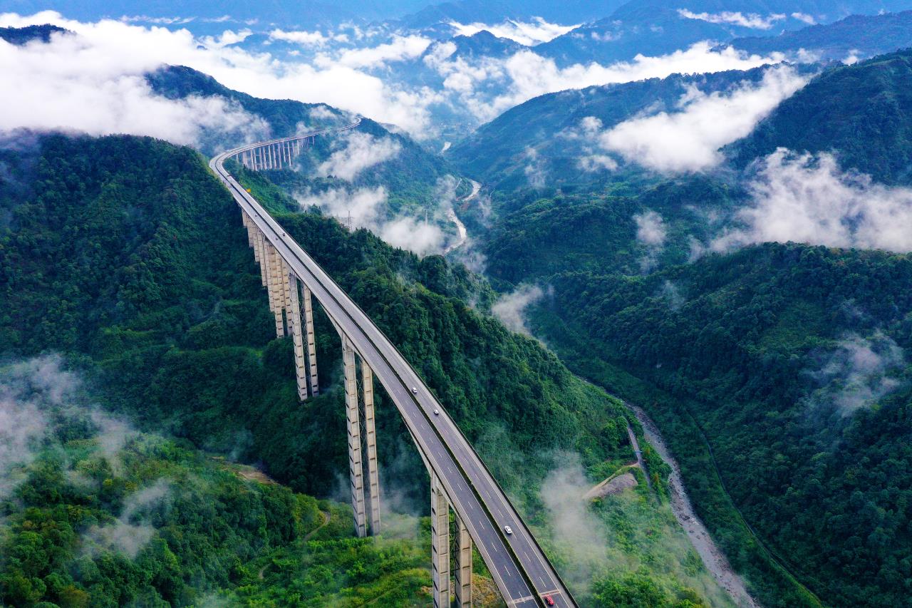 公司简介