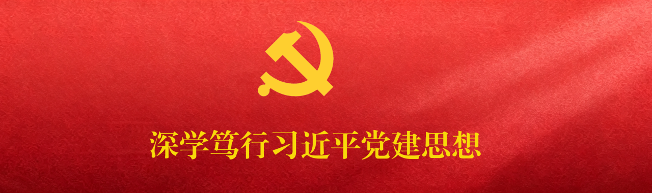 深学细悟习近平党建思想“总论”
